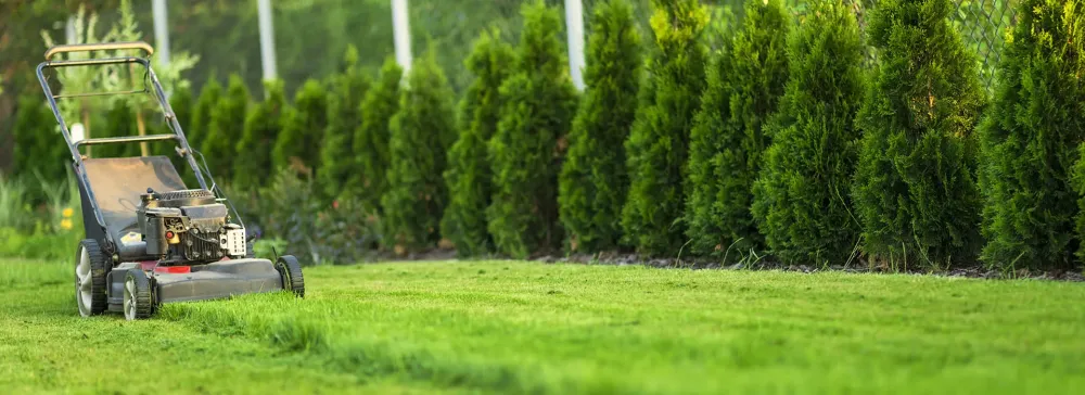 Remise en état de jardin à Ossages