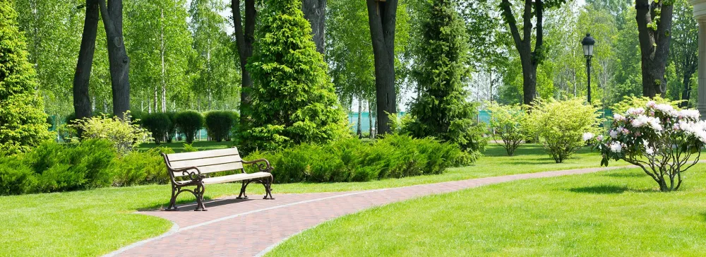 Paysagistes-d’intérieur-à-Ossawebp