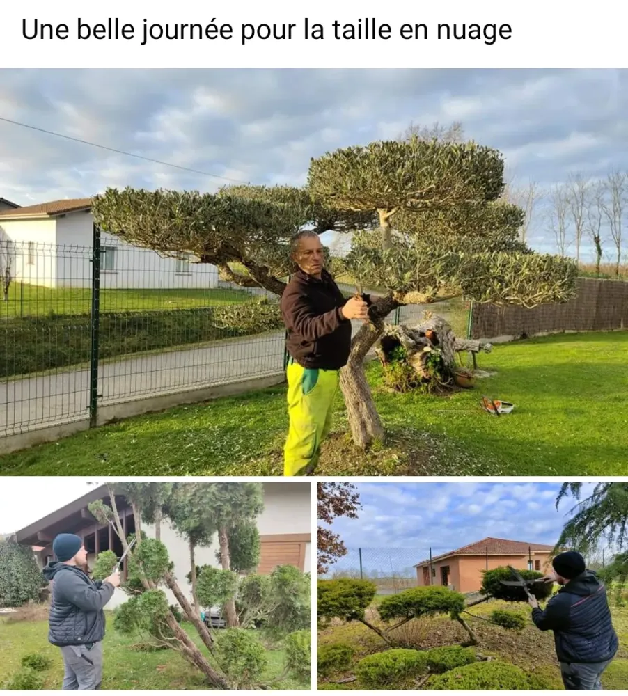 inspiration-jardin-amenagement