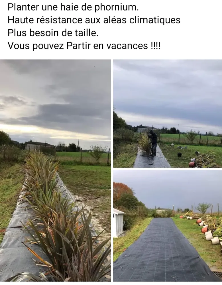 ambiance-verte-terrasse