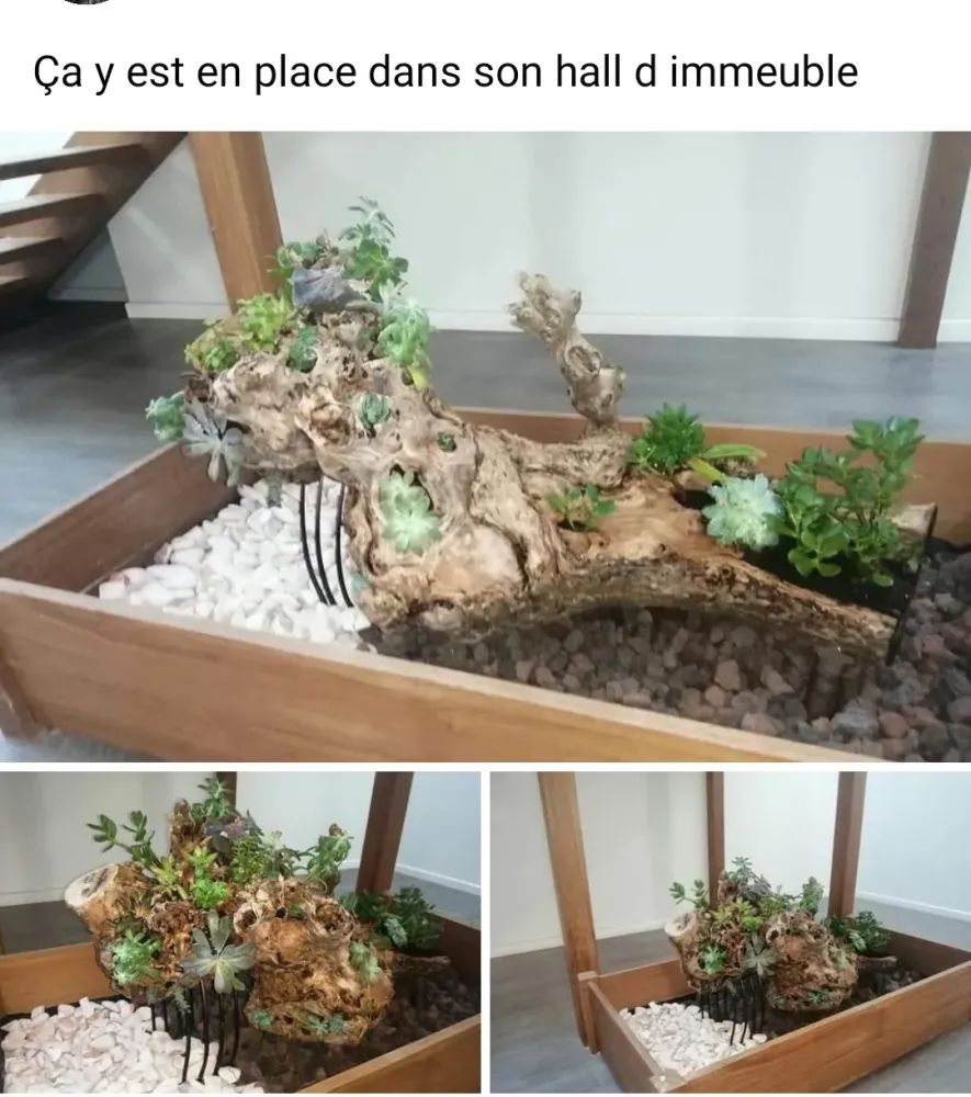 mise-en-scene-vegetale