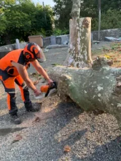 exemples-creation-espace-vert